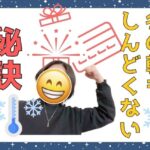 88c3f5d12c926c6cb871703ef9713606