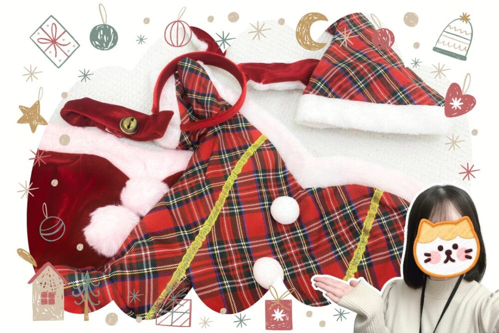 サンタのコスプレ